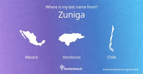 zuniga last name origin|zuniga family.